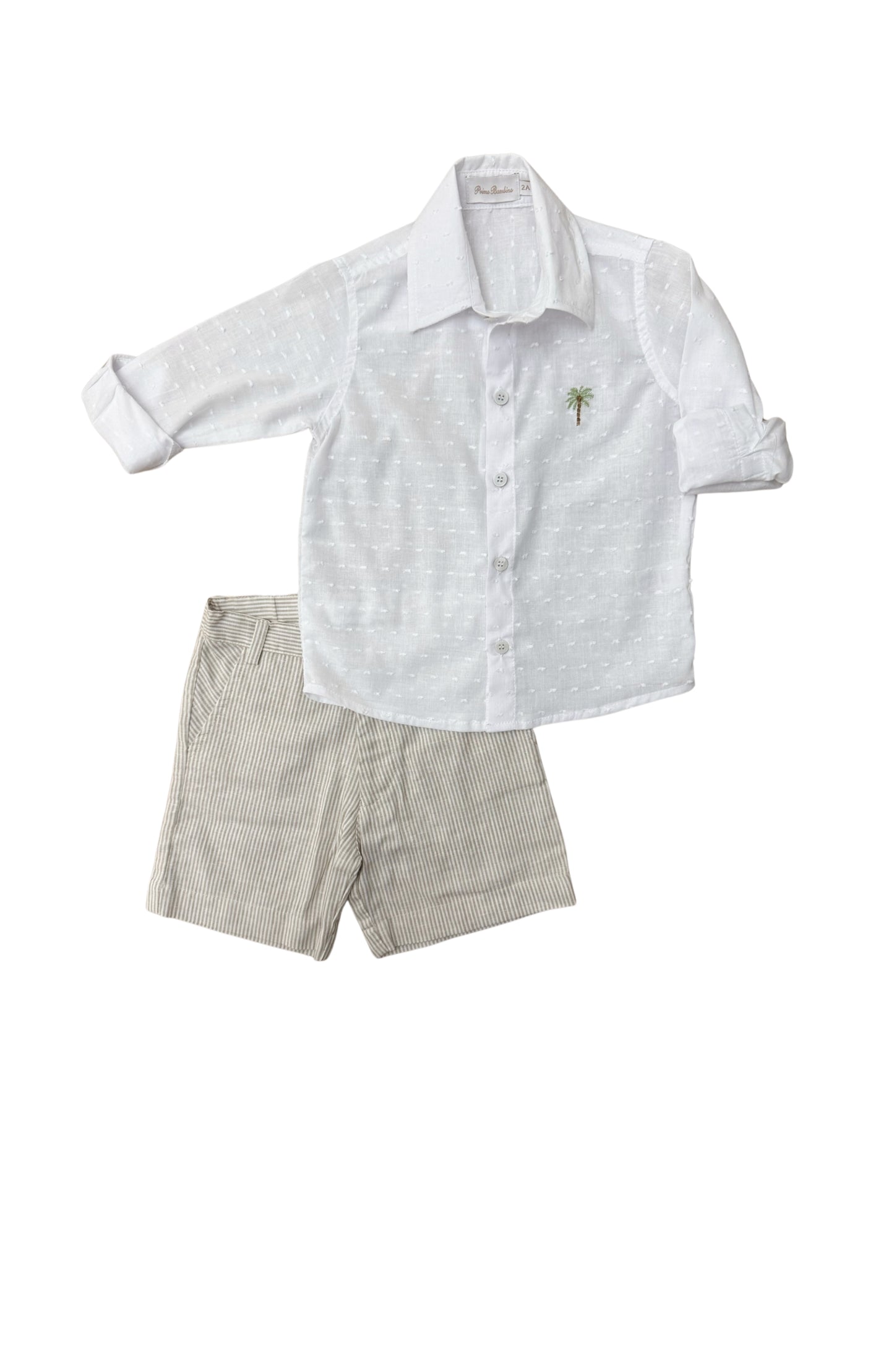 Conjunto camisa comm bermuda Spiagge - 11593